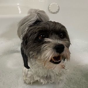 Meet your Posher, Catherine